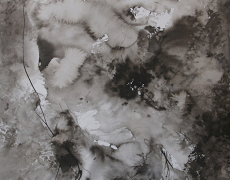Présentée en fév-mars 2020. Tana CHANEY . Peintures . LOO & LOU Gallery l’ATELIER .