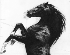 31 mars – 8 mai. Joël Person . dessins . Loo & Lou Gallery.